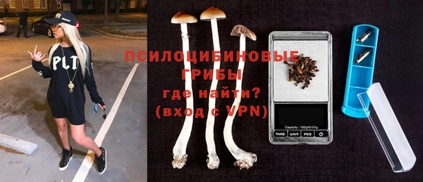 крисы Карталы