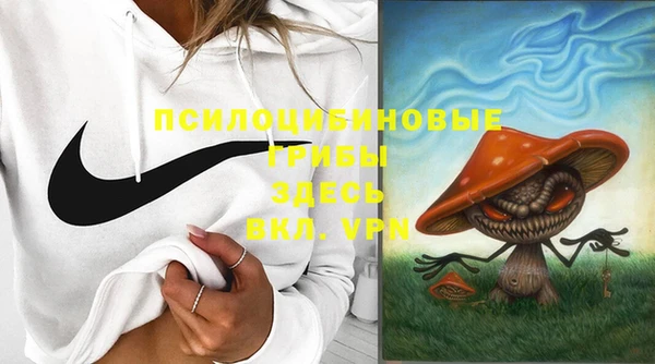марки lsd Карпинск