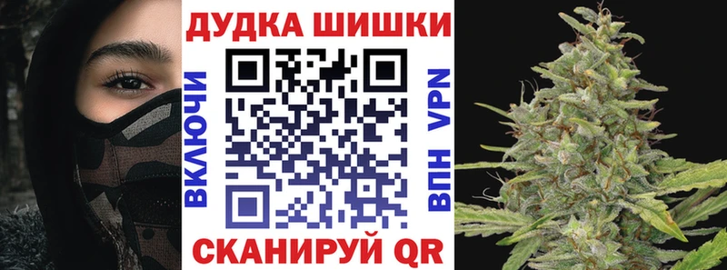 Бошки Шишки SATIVA & INDICA  Купить закладки  Бобров 
